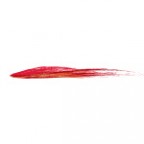 赤い油絵の具で描いた筆のようなイラレ・アートブラシ