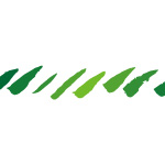 緑色のグラーデーションがかったラフな毛筆の斜線、イラレ・パターンブラシ