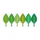 緑色の葉っぱのイラストが並ぶイラレ・パターンブラシ